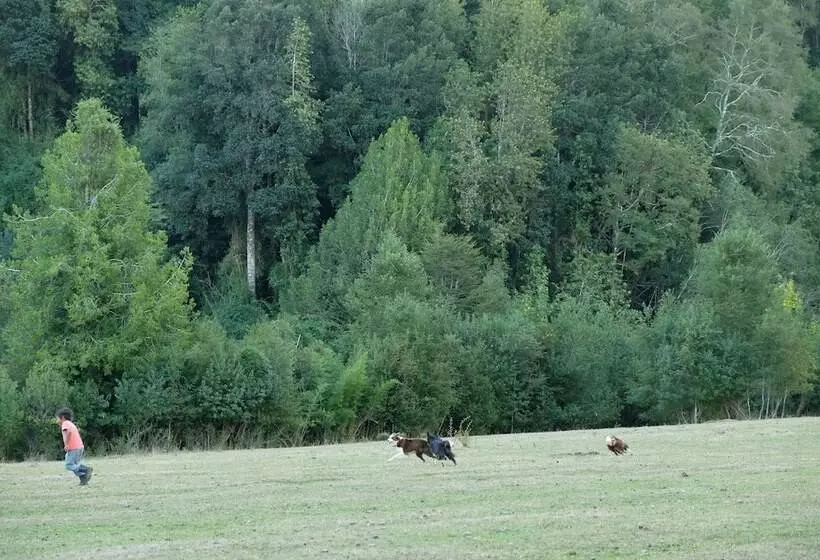 هتل Entre Pampa Y Bosque