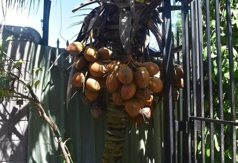 ホテル Hohola Apartments