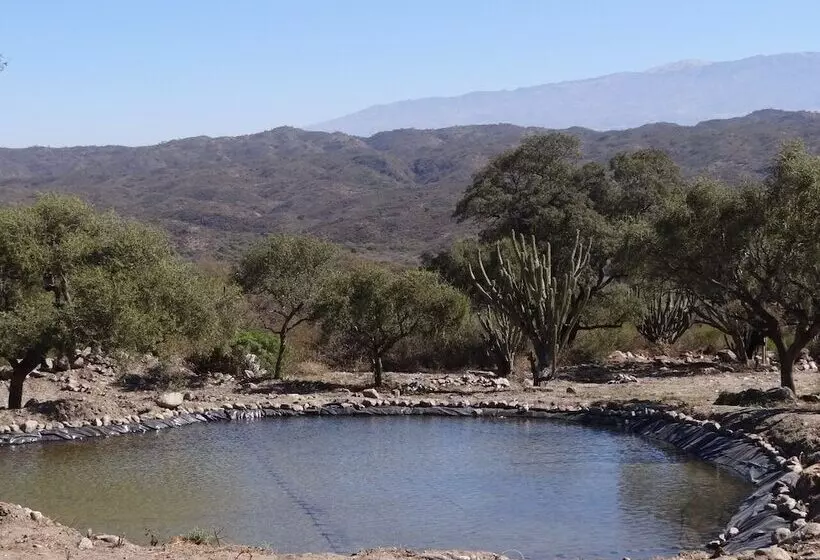 Hotelli La Ceiba