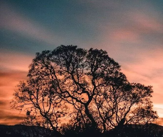 Hotelli La Ceiba