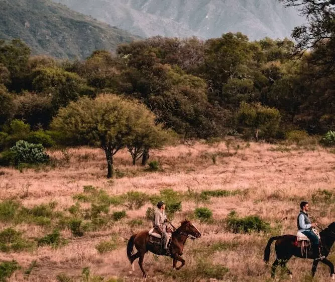 Hotelli La Ceiba