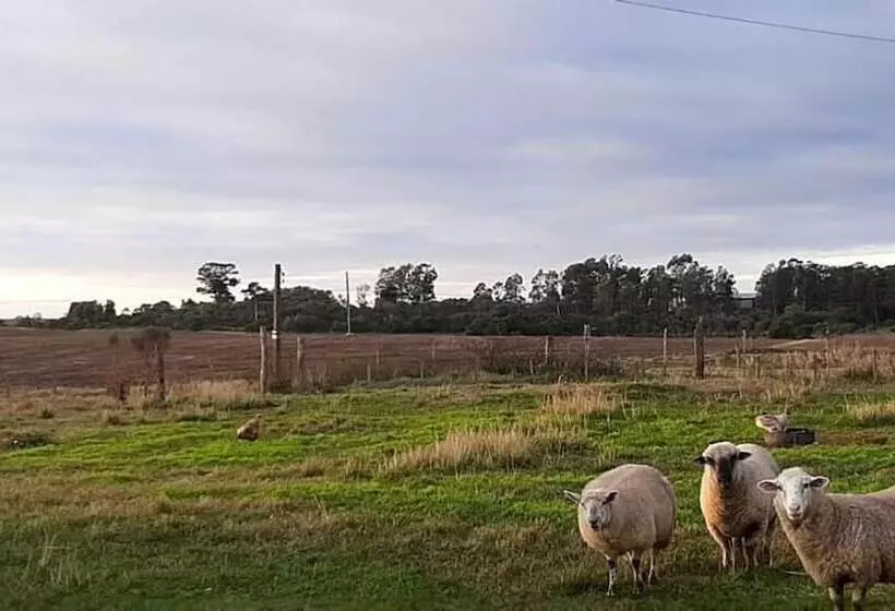 ホテル Pousada Do Pampa