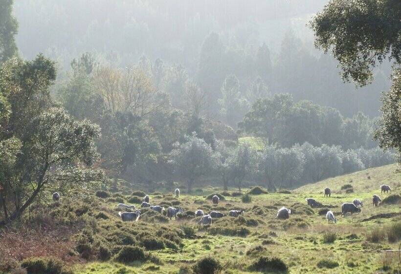 Сельский отель Vumba Beira Suite