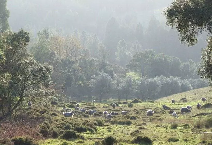 Maaseutuhotelli Vumba   Beira Suite