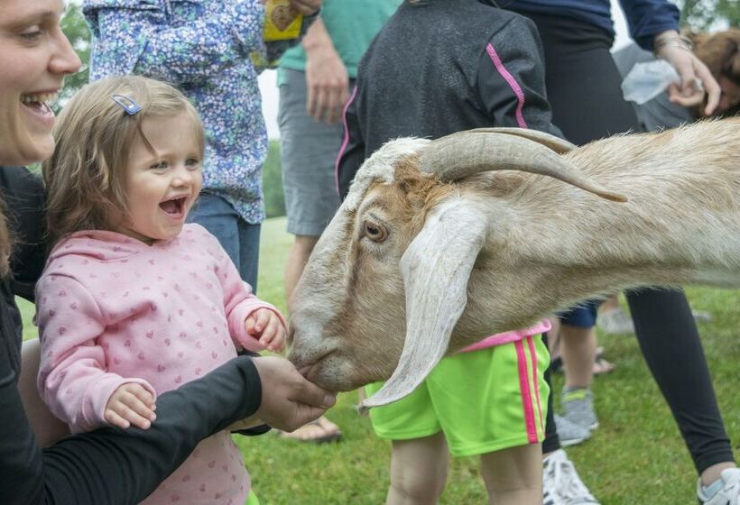 בית מלון כפרי Sunny Hill Resort And Golf Course – All Inclusive