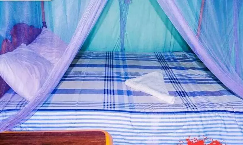 هتل Terace Wedge Villa