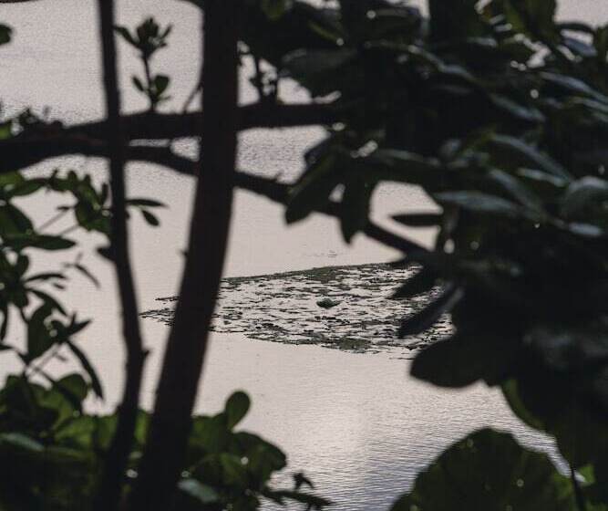 酒店 The Postcard Galle