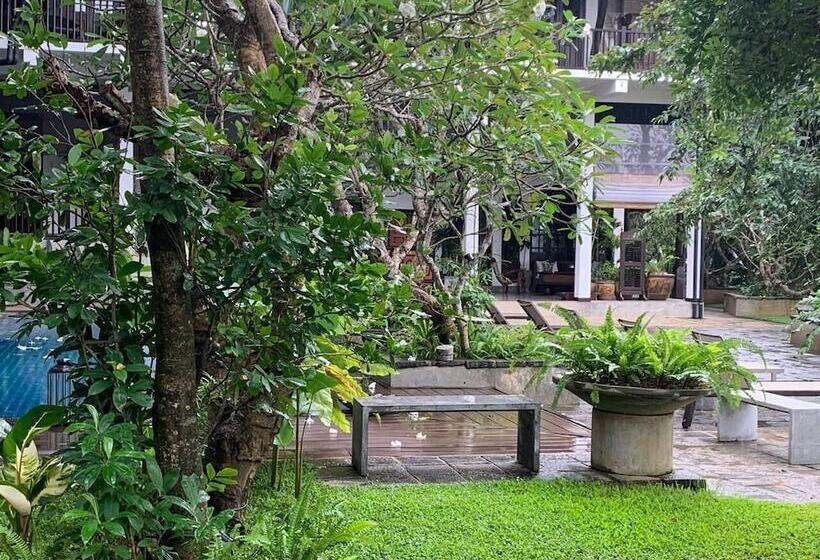 酒店 The Postcard Galle