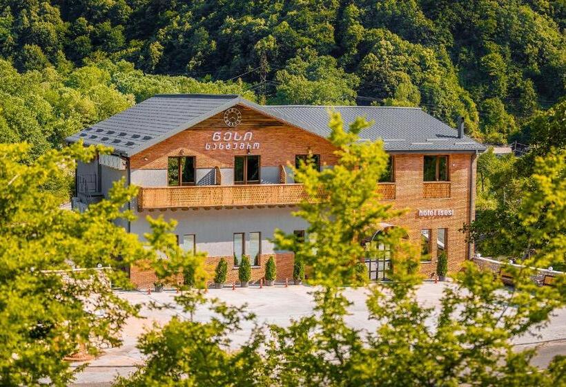 هتل Tsesi