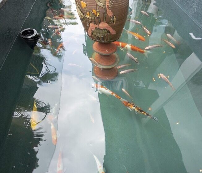 هتل Turi Staypoint