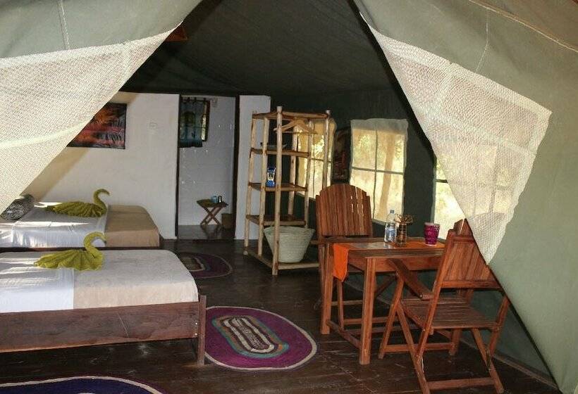 酒店 Zarafa Tented Camp