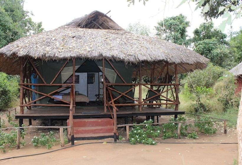 酒店 Zarafa Tented Camp