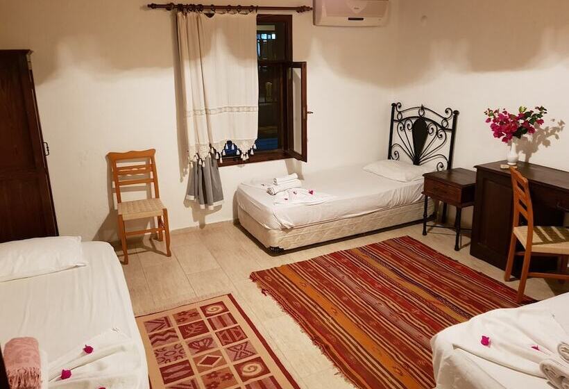 Пансион Begonville