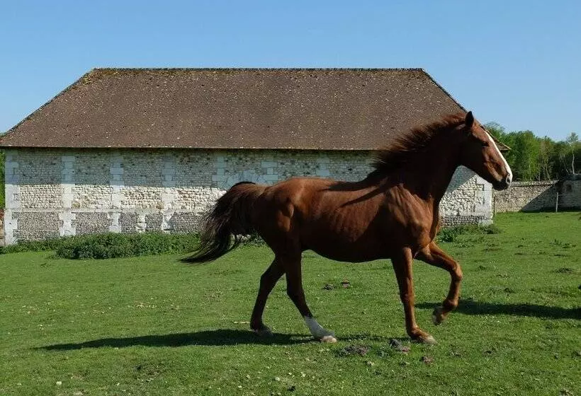 ペンション Le Pommier Doux, Maison D Hôte Du Domaine Du Château D Argeronne