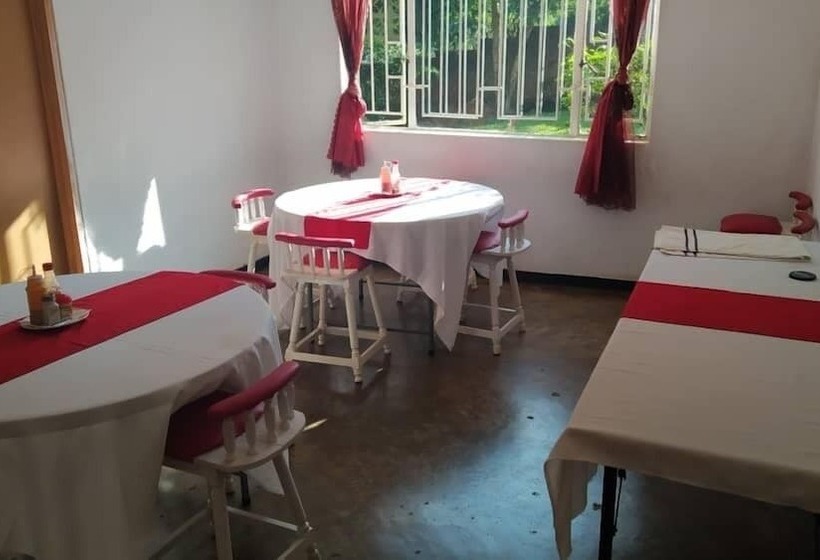 پانسیون Domino Lodge