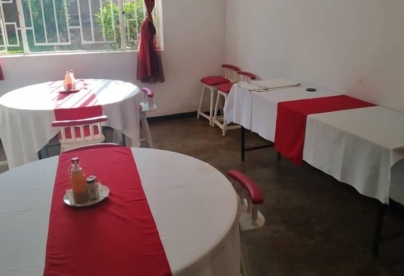 پانسیون Domino Lodge