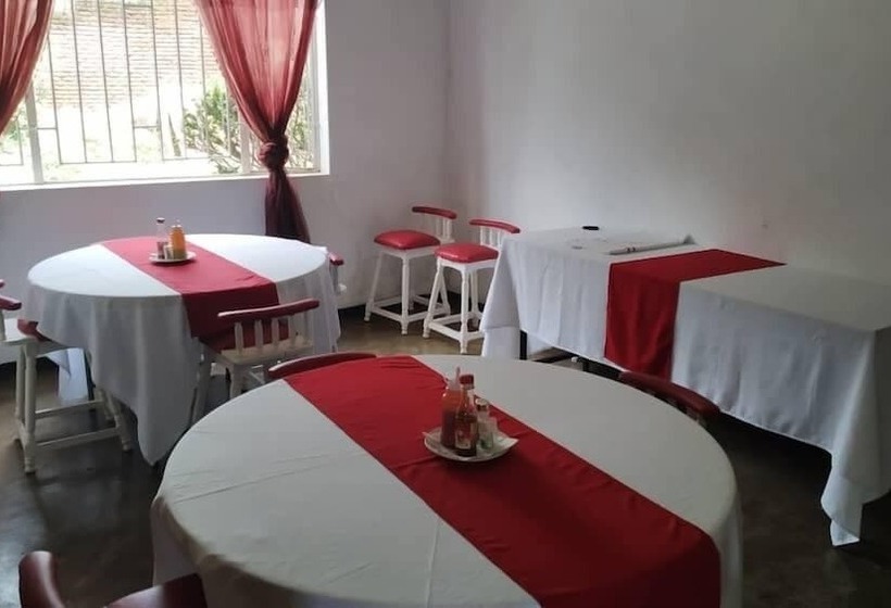 پانسیون Domino Lodge