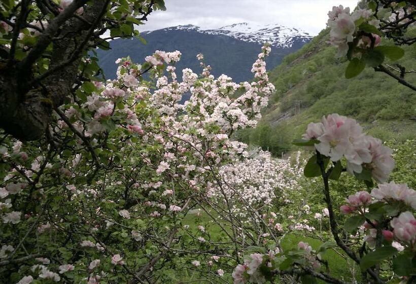 Pension Petrines Guesthouse