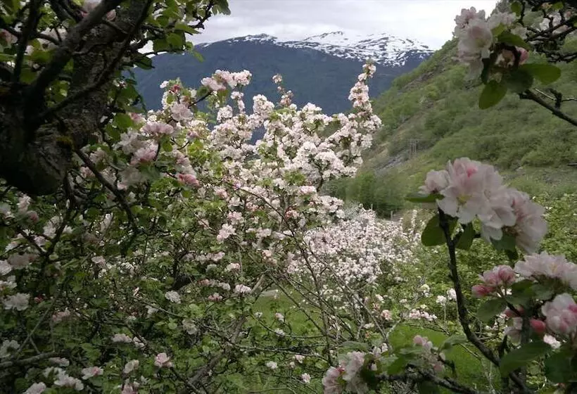 Majatalo Petrines Guesthouse