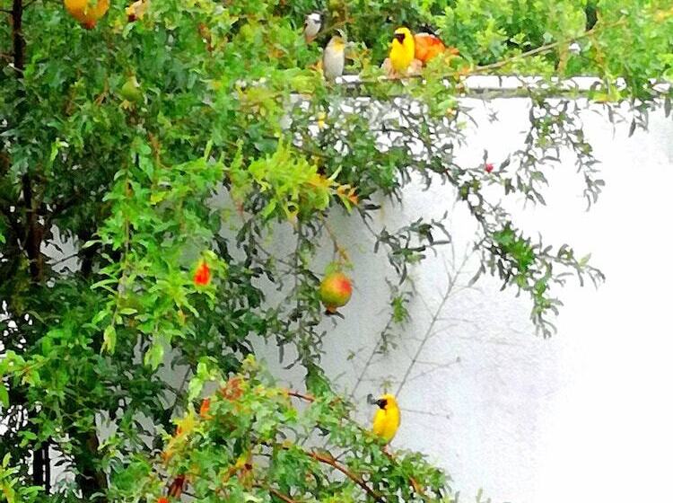 پانسیون St Exupéry Chambre D Hôtes