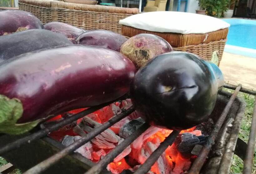 پانسیون St Exupéry Chambre D Hôtes