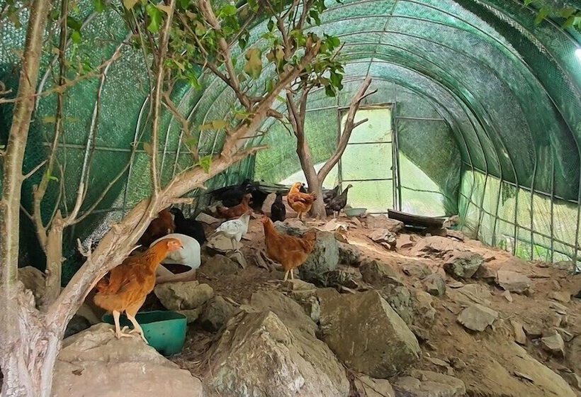 Пансион Wondumag Minbak