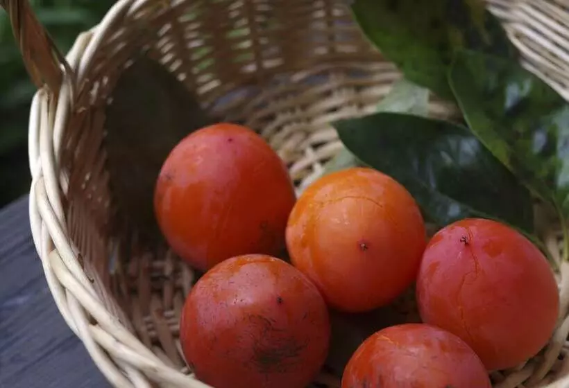 ペンション Zen&bed Bogetsu An