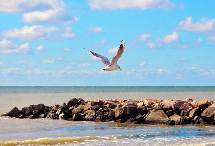 منتجع Ok Priboy