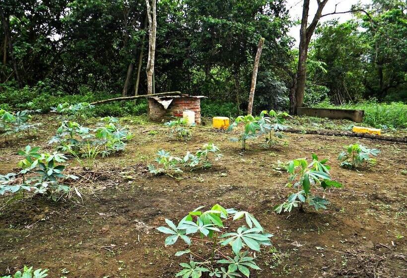 Bed and Breakfast Complejo Vacacional Vida Sana Maná