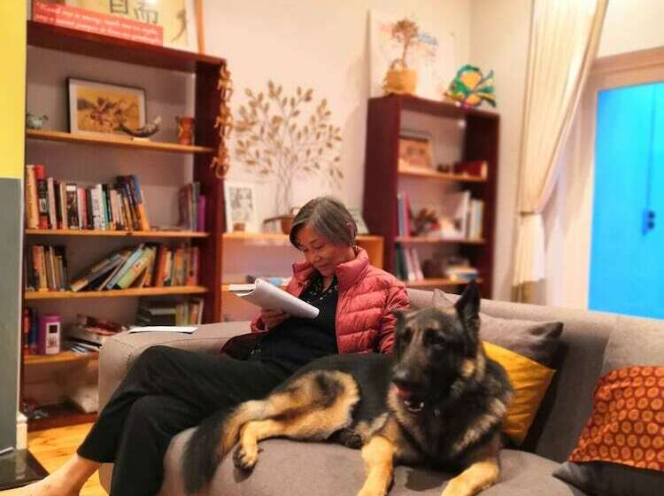 مبيت وإفطار T House