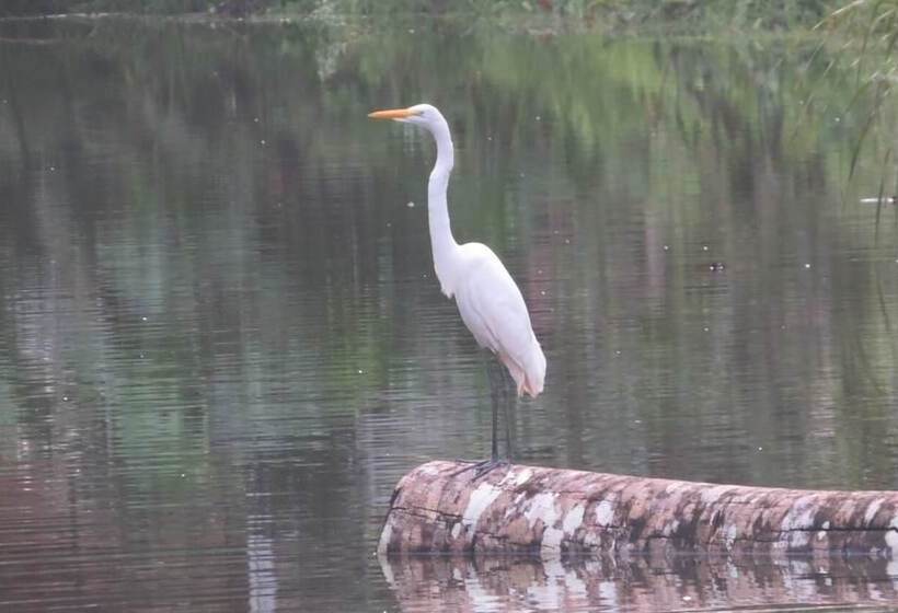 Хостел Yacumama Tambopata Ecolodge