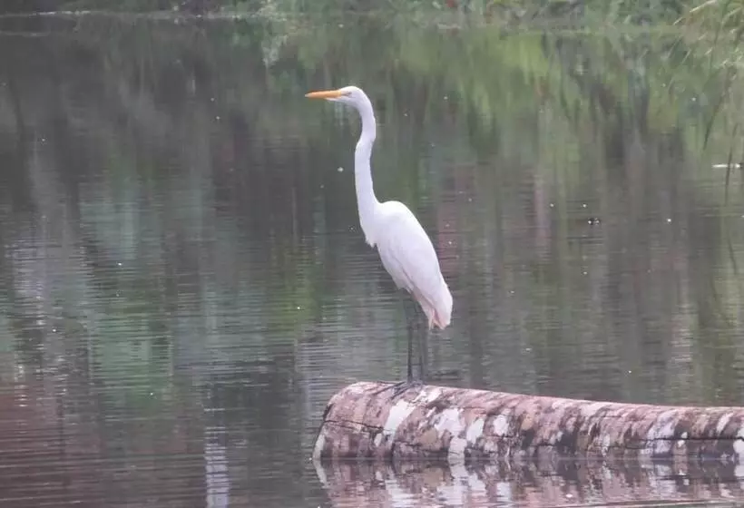 مسافرخانه Yacumama Tambopata Ecolodge