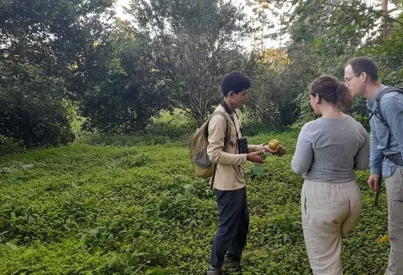 مسافرخانه Yacumama Tambopata Ecolodge
