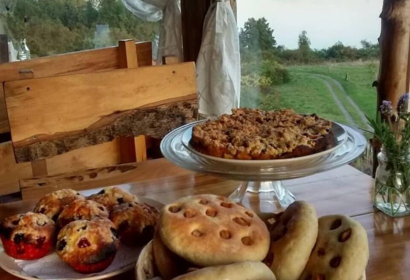 فندق Antuquelen Lodge Cabañas