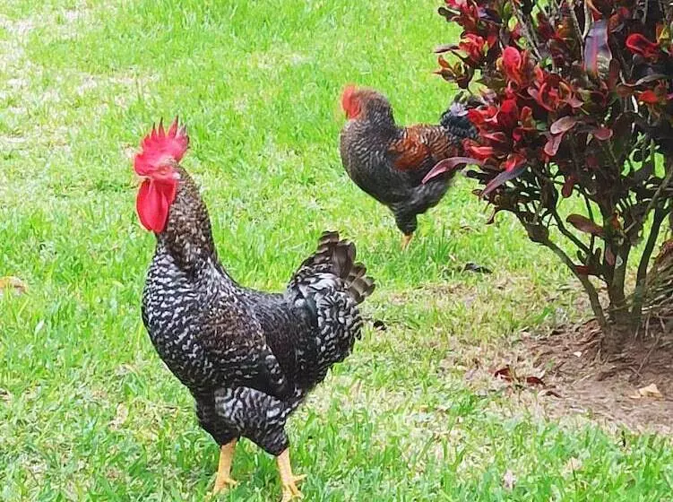 Hotelli Finca Garullo