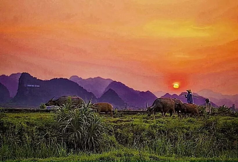 هتل Karst Villas Phong Nha