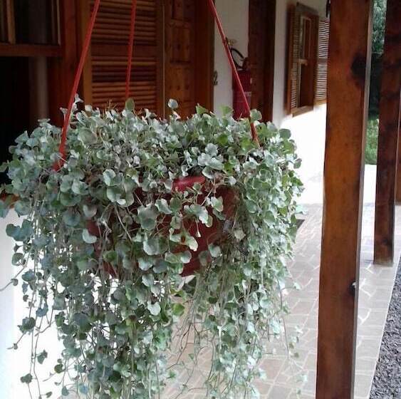 Otel Pousada Heritage Colonial