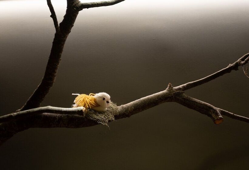 هتل Termas Chillán