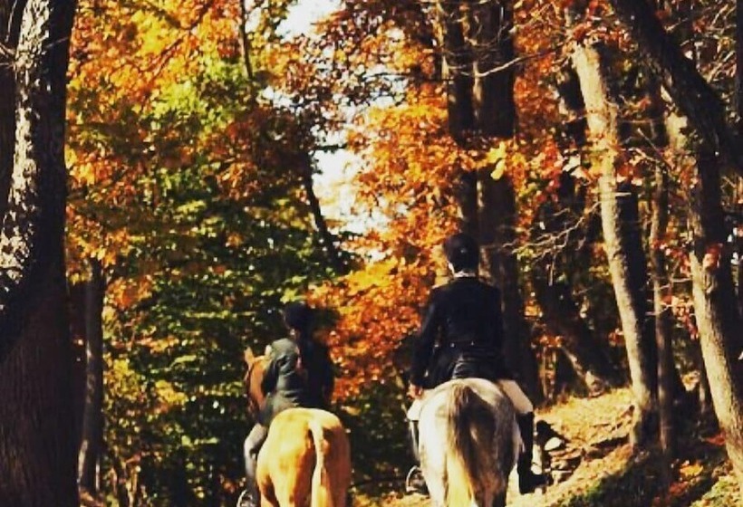 Mylaon Boutique Hotel & Spa