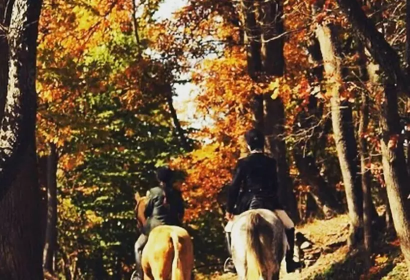 Mylaon Boutique Hotel & Spa