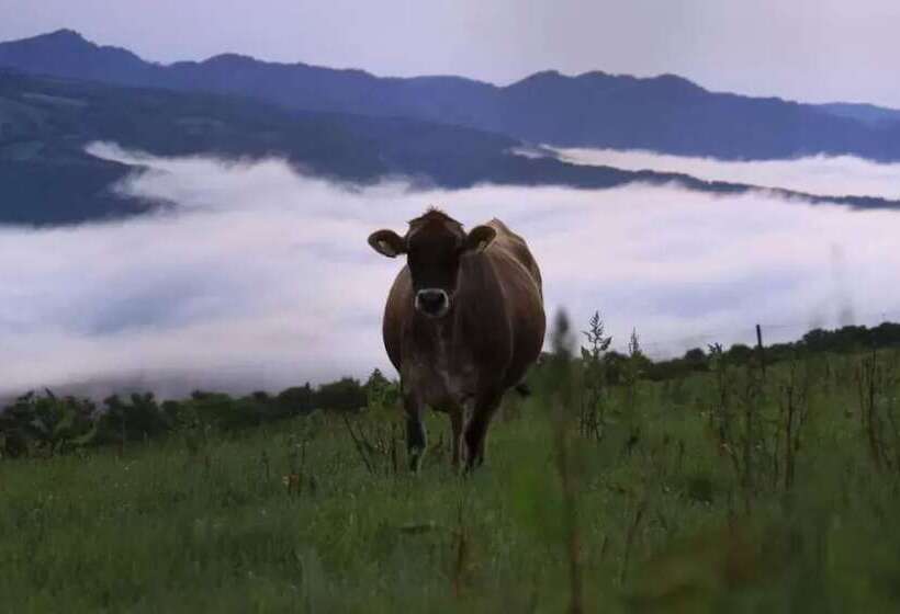 膳宿费 Onuma Lakeside Cottage