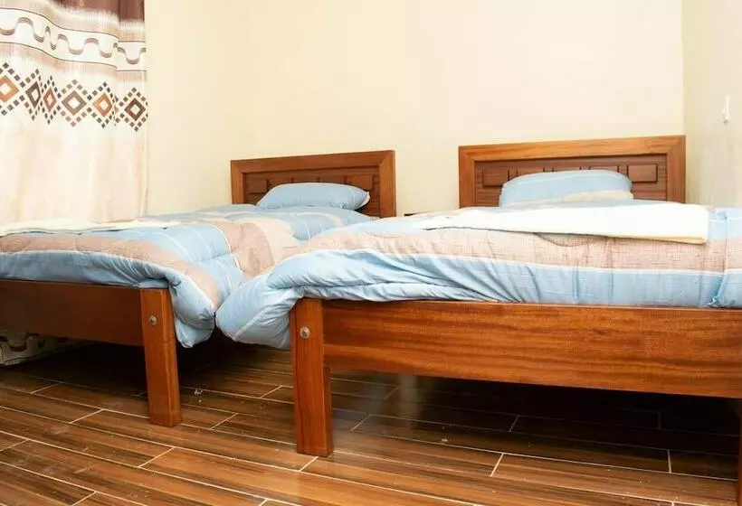 پانسیون The Porcupine Guesthouse
