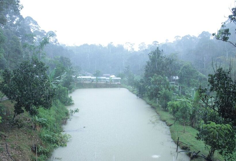 Pensão Tokwan S Agro Village