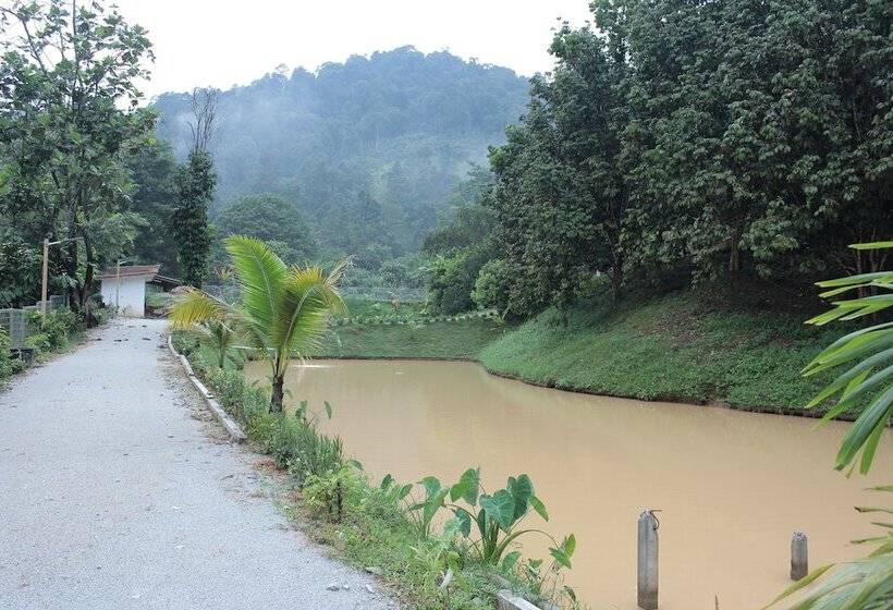 Pensão Tokwan S Agro Village