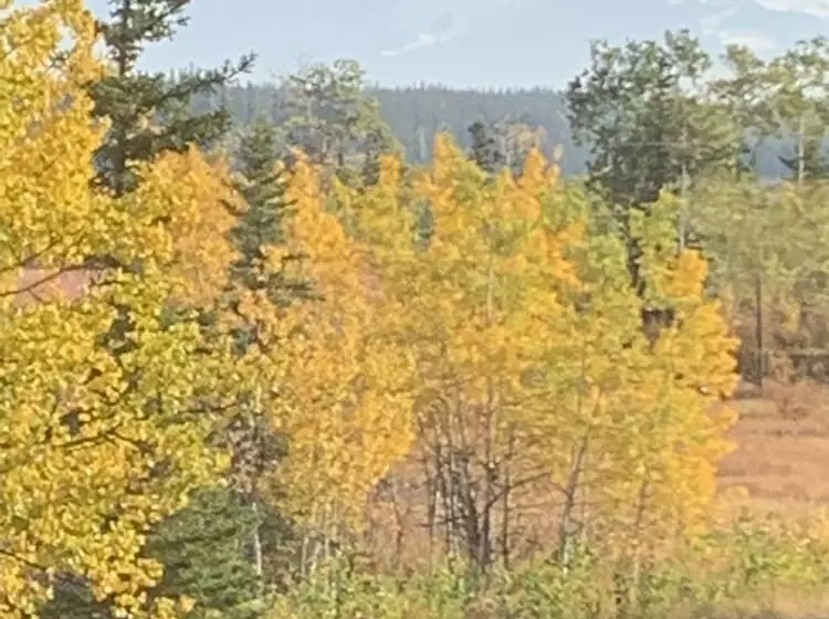 Sawinglogzz Log Cabin