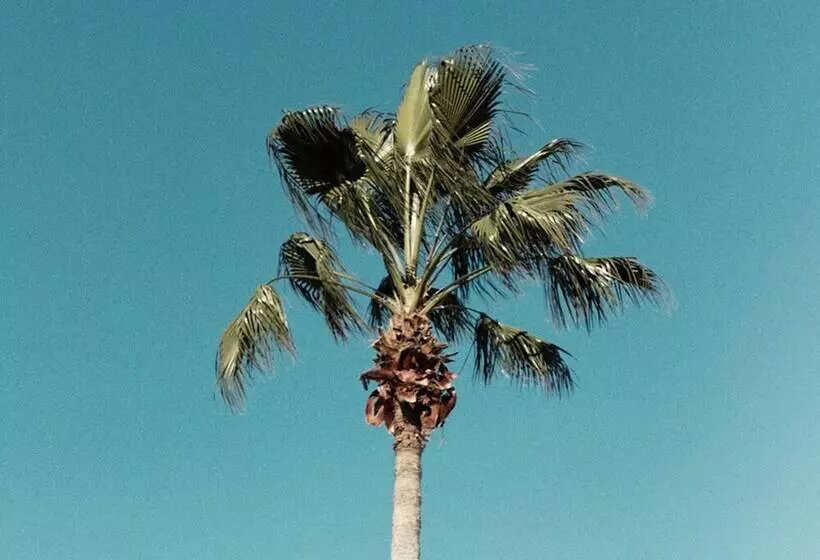 Villa In Reunion Resort & Spa 1285