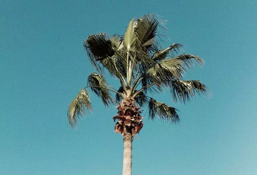 Villa In Reunion Resort & Spa 1318