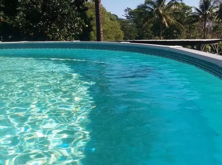 민박 Island Goode S   Luxury Adult Only Accommodation Near Hilo