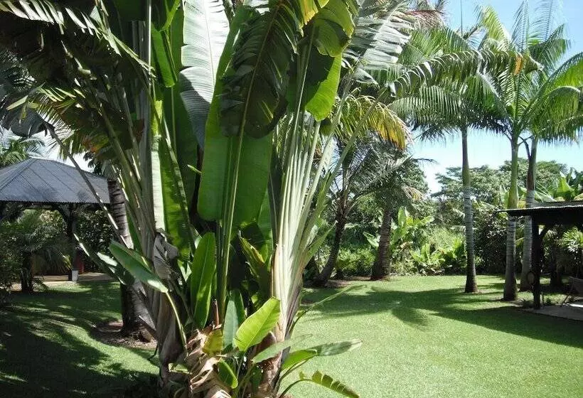 민박 Island Goode S   Luxury Adult Only Accommodation Near Hilo