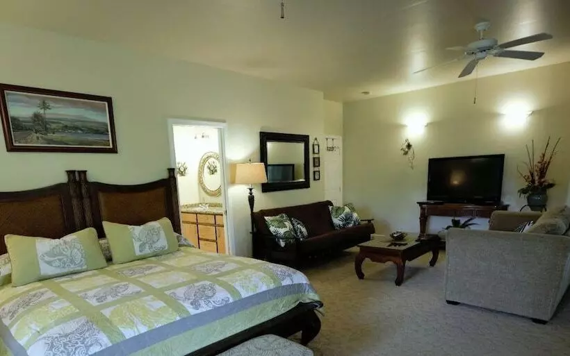 민박 Island Goode S   Luxury Adult Only Accommodation Near Hilo